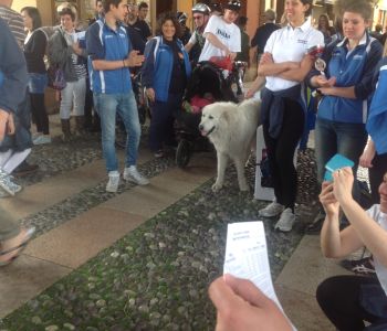 premiazione 6